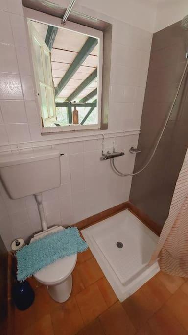 Gite Rustique - Perigord Vert - La Collina 24300 Abjat-sur-Bandiat 外观 照片