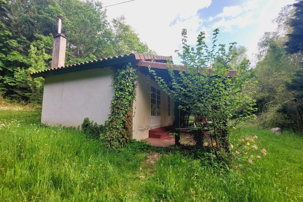 Gite Rustique - Perigord Vert - La Collina 24300 Abjat-sur-Bandiat 外观 照片